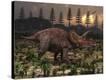 Stretched Canvas Print