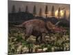 Photographic Print