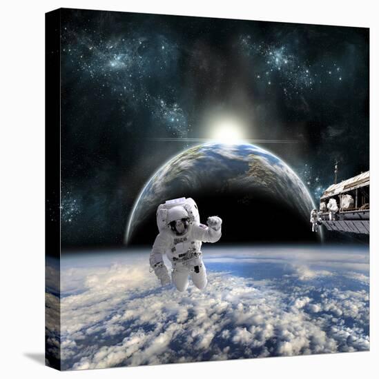 Stretched Canvas Print, , large