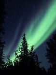 Aurora Borealis Above the Trees, Northwest Territories, Canada-Stocktrek Images-Photographic Print