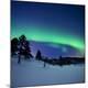 Premium Photographic Print