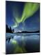 Premium Photographic Print