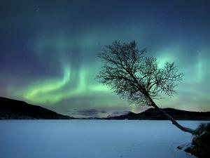 Aurora Borealis over Sandvannet Lake in Troms County, Norway by Stocktrek Images