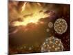 Photographic Print