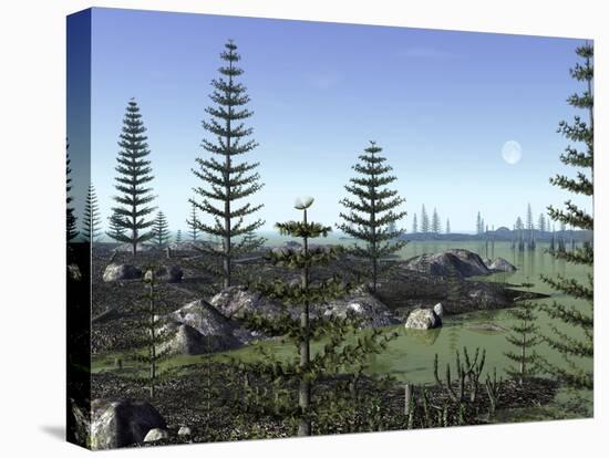 Stretched Canvas Print, , large