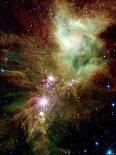 Orion Nebula-Stocktrek Images-Photographic Print