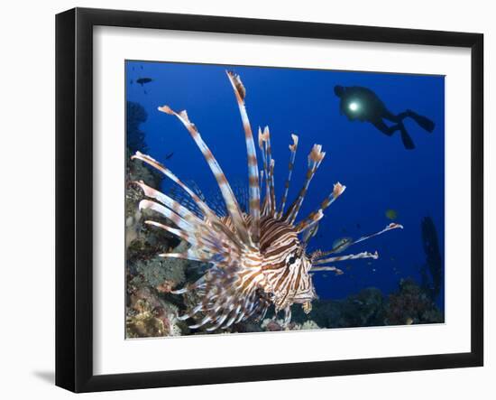 Photographic Print, , large
