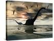 Stretched Canvas Print