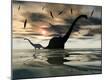 Photographic Print