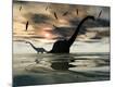 Photographic Print
