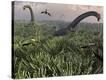 Stretched Canvas Print