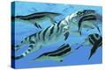 Stretched Canvas Print