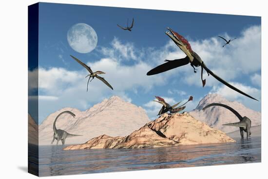 Stretched Canvas Print, , large