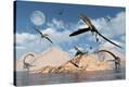 Stretched Canvas Print