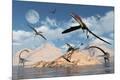 Premium Giclee Print