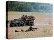 Stretched Canvas Print