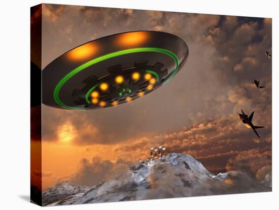 Stretched Canvas Print, , large