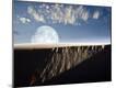 Photographic Print