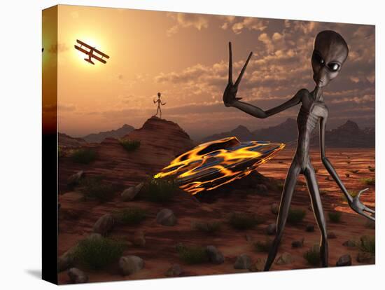Stretched Canvas Print, , large