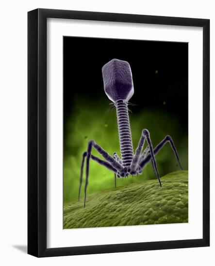 Photographic Print, , large