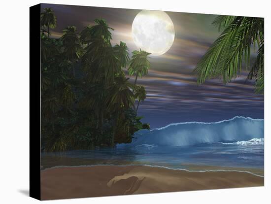 Stretched Canvas Print, , large