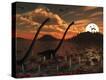 Stretched Canvas Print