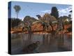 Stretched Canvas Print