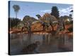 Stretched Canvas Print