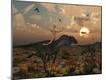 Photographic Print