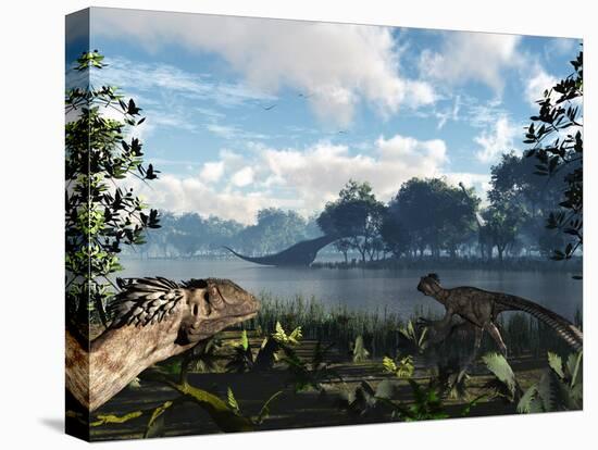 Stretched Canvas Print, , large