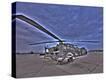 Stretched Canvas Print