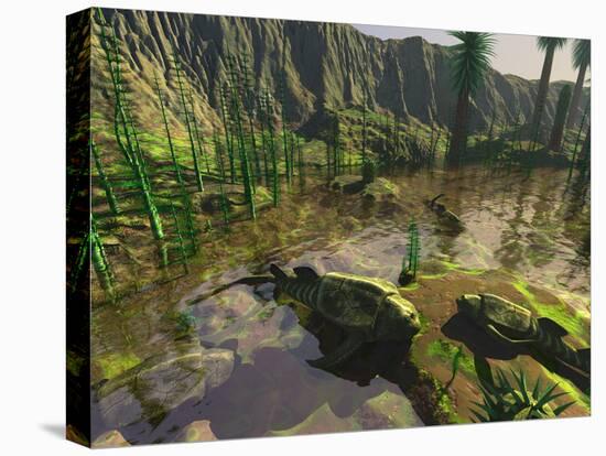 Stretched Canvas Print, , large