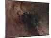 Photographic Print