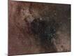 Photographic Print