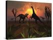Stretched Canvas Print