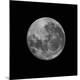 Premium Photographic Print