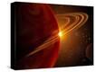 Stretched Canvas Print