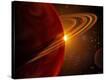 Stretched Canvas Print