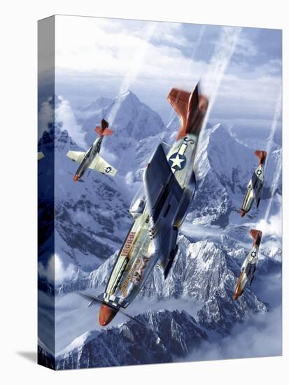 Stretched Canvas Print, , large