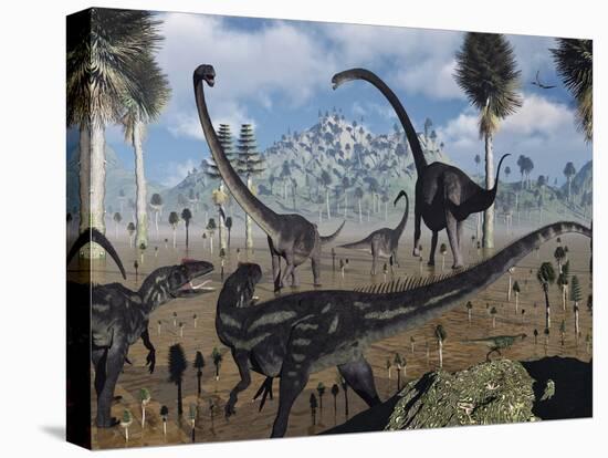 Stretched Canvas Print, , large
