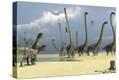Stretched Canvas Print