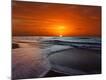 Photographic Print