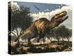 Stretched Canvas Print