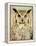 Stoic Owl-Z Studio-Framed Stretched Canvas