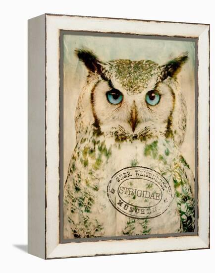 Stoic Owl-Z Studio-Framed Stretched Canvas