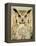 Stoic Owl-Z Studio-Framed Stretched Canvas