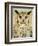 Stoic Owl-Z Studio-Framed Premium Giclee Print