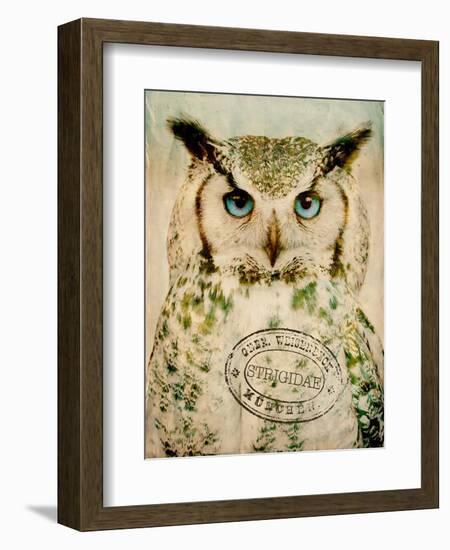 Stoic Owl-Z Studio-Framed Premium Giclee Print