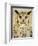 Stoic Owl-Z Studio-Framed Premium Giclee Print