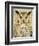 Stoic Owl-Z Studio-Framed Premium Giclee Print